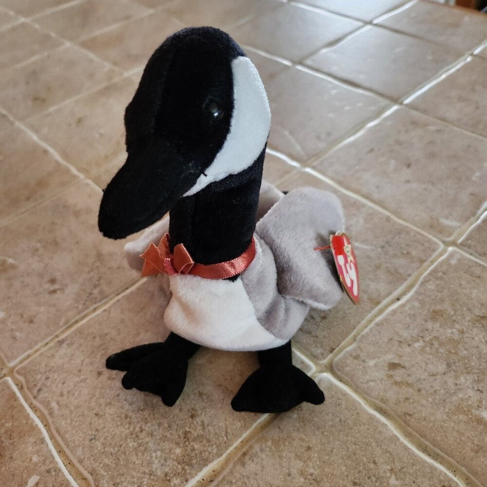 Six Loosy Beanie Babies by Ty